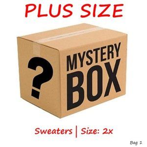 Plus Size Sweaters - Reseller / Semi-Mystery Box